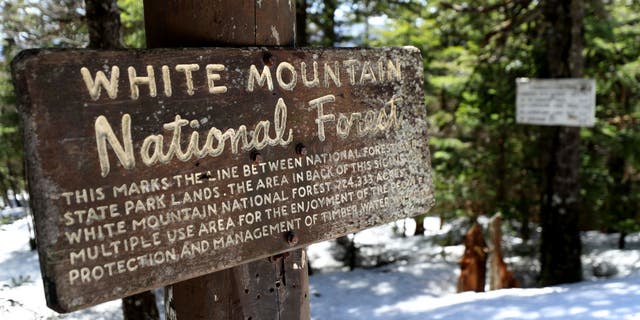 FILE - A view of a trail sign White Mountain National Forest on May 02, 2020 in Franconia, New Hampshire.