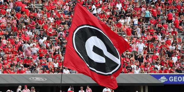 A picture of the Georgia Bulldogs flag at Sanford Stadium