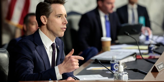 Sen. Josh Hawley, R-Missouri, speaks during a Senate Judiciary Committee on Capitol Hill.