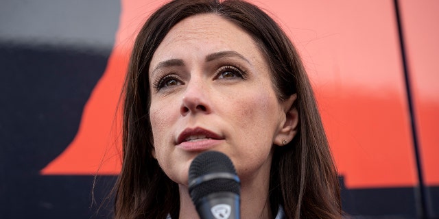 Rural Michigan communities revolt over plans to build Chinese-owned factories nearby: 'It's disgusting' 2 Michigan Republican gubernatorial candidate Tudor Dixon speaks to supporters and volunteers at the Lenawee County GOP office Nov. 7, 2022, in Adrian, Mich.