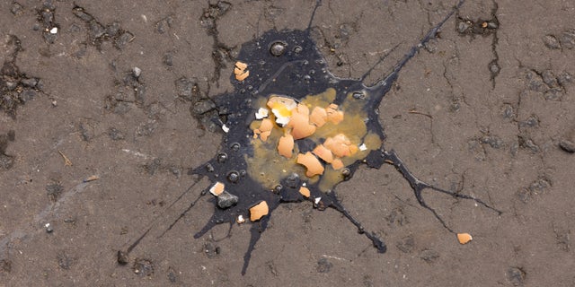 Eggs intended to hit King Charles III lay broken on the ground.