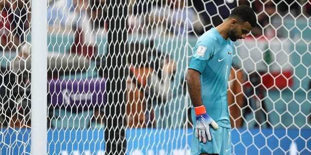 A dejected Saad Al-Sheeb of Qatar during the FIFA World Cup Qatar 2022 Group A match between Qatar and Ecuador at Al Bayt Stadium on November 20, 2022 in Al Khor, Qatar. 