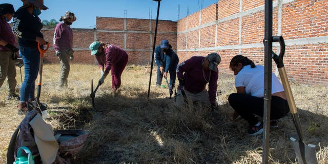 The collective uncovered 53 bags of human remains at the gravesite. 