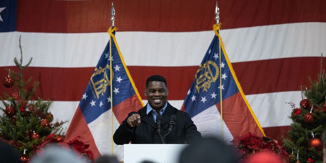 Republican Senate nominee Herschel Walker speaks to a crowd gathered for a rally with prominent Republicans on Nov. 21, 2022 in Milton, Georgia.