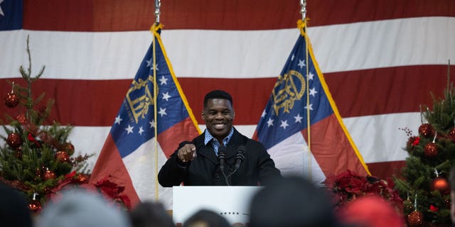 Republican Senate nominee Herschel Walker speaks to a crowd gathered for a rally with prominent Republicans on Nov. 21, 2022 in Milton, Georgia.