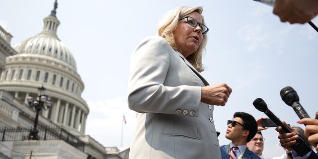 Liberals Suggest Liz Cheney Should Be Speaker Of House But Not Everyone ...