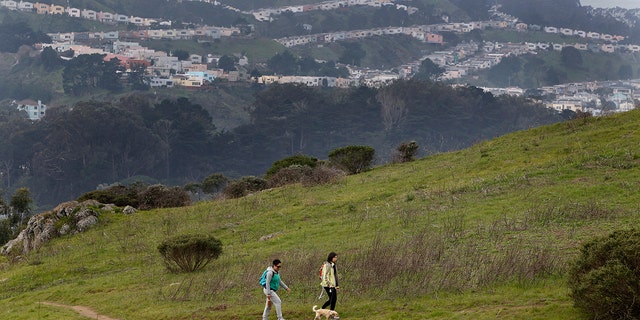 Day hikers explore the view from Philosopher's Trail, a 2.7-mile loop trail officially designated at McLaren Park in San Francisco on Jan. 5, 2013.