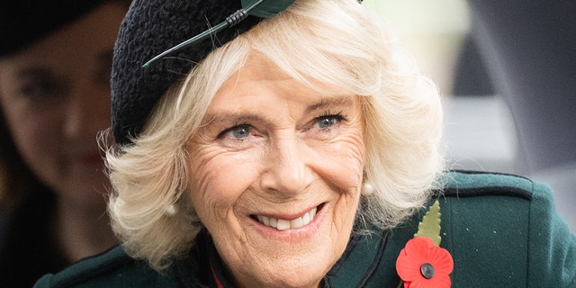 In February, it was confirmed that Camilla, the queen consort, will not to use the Koh-i-Noor diamond in her coronation crown. 