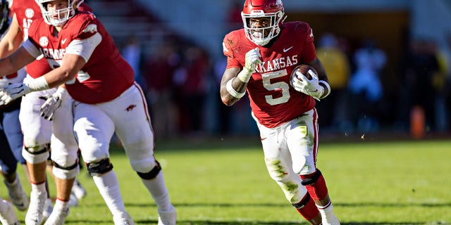 Raheim Sanders (5) of the Arkansas Razorbacks runs the ball during a game against the Liberty Flames at Donald W. Reynolds Razorback Stadium Nov. 5, 2022 in Fayetteville, Ark. 