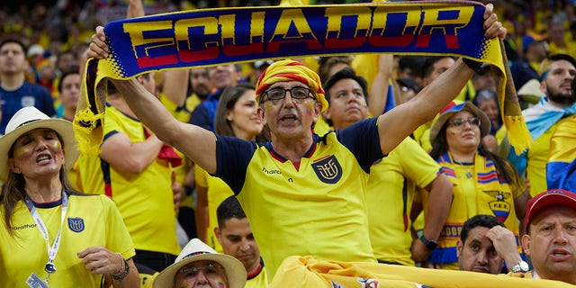 هواداران اکوادور در جریان بازی تیمشان مقابل قطر در 20 نوامبر 2022 تشویق می کنند.