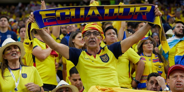 Ecuadorian fans cheer during their team's game against Qatar on November 20, 2022.
