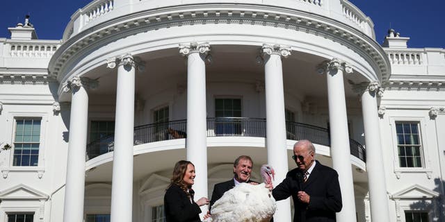 President Biden during the turkey pardoning ceremony.