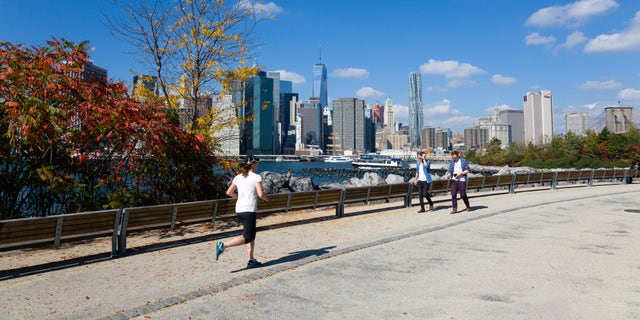 Woman choked, raped on NYC morning jog through swanky neighborhood ...