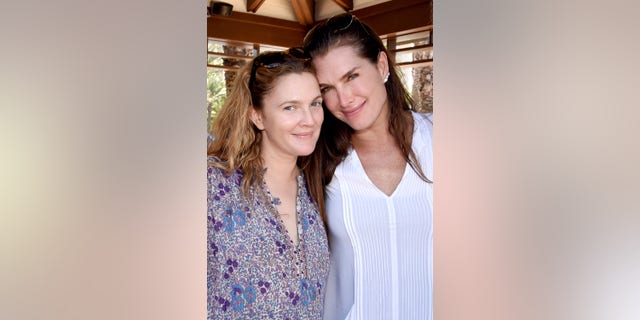 Drew Barrymore (left) and Brooke Shields shared details of an interview with ABC News' Barbara Walters.