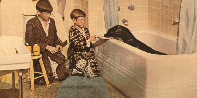 Michael McGreevey, left, and Billy Mumy working alongside Sammy the Seal.