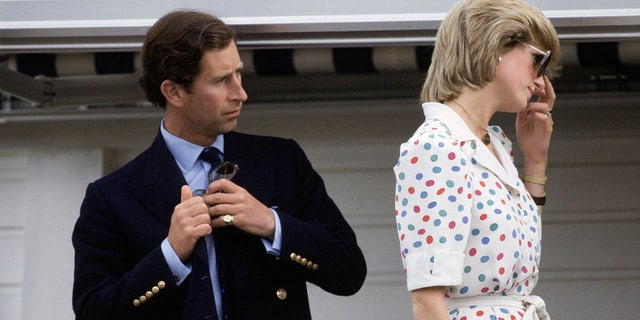 Christopher Andersen alegou que o rei Charles disse sarcasticamente à princesa Diana que "pode ser gay" durante uma de suas muitas discussões.