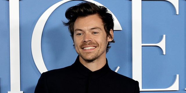 Harry Styles has achieved massive success in both the music industry and the film industry.