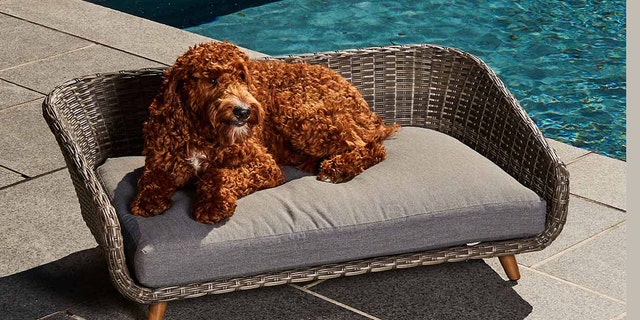 Your four-legged friend can relax in style with this doggy bed by Hotel Doggy.