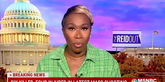 MSNBC's Joy Reid blasts 'the myth' of Thanksgiving: 'Our birth was ...