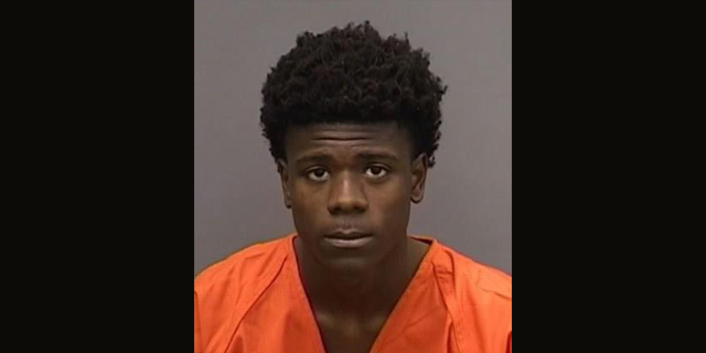 Jayden Harris' booking photo from the Tampa Bay Police Department.