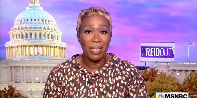 Byron Donalds Reacts To Race-tinged Clash With Joy Reid: 'Important For ...