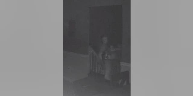 SEE THE PIC: Pennsylvania mom 'too scared to sleep' after seeing