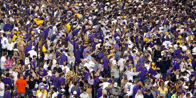 LSU fans' jubilation in closing moments of Alabama win registers on seismograph 3 The LSU fans’ reactions to some key scores showed up on the school’s College of Science seismograph.