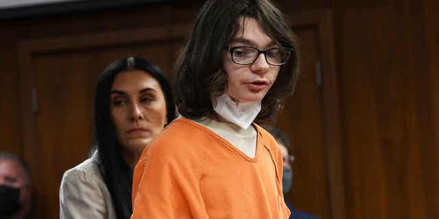 Ethan Crumbley pleaded guilty to murder and terrorism charges for the shooting at his Michigan school.