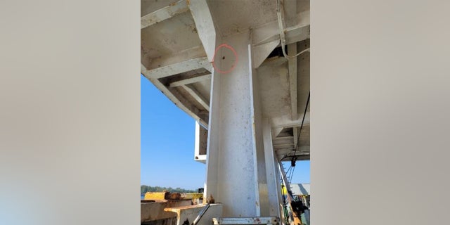 CBP agriculture specialists found four suspected AGM egg masses on the exterior surfaces of the vessel and railing on both lower and main decks. 