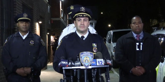 NYPD Deputy Chief Louis De Ceglie of Patrol Borough Bronx held a press briefing late Saturday about the mother accused of stabbing her children to death.