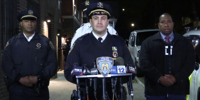 NYPD Deputy Chief Louis De Ceglie of Patrol Borough Bronx held a press briefing late Saturday about the mother accused of stabbing her children to death.