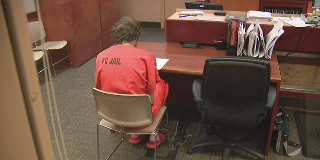 Paul Snyder, who is accused of murdering two men, sits in a chair during his hearing
