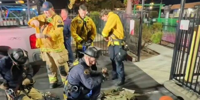 Firefighters gear up to rescue four teenage girls who were trapped 65 feet in the air on a roller coaster in North Highlands, California.