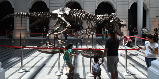 Visitors look at a skeleton of a T-Rex named Shen at the Victoria Theater and Concert Hall in Singapore on October 28, 2022.
