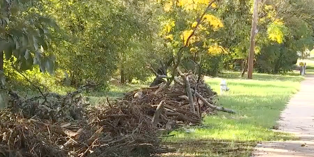 The man is accused of using a chainsaw and pole saw to take down trees on private property in the neighborhood at odd hours of the night. 