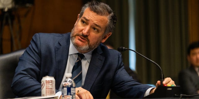 El Senador Ted Cruz habla durante una audiencia del Comité de Relaciones Exteriores del Senado en Washington, DC el 8 de marzo de 2022.