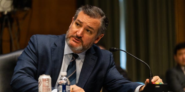 Sen. Ted Cruz, R-Texas, speaks during a Senate hearing on March 8, 2022.