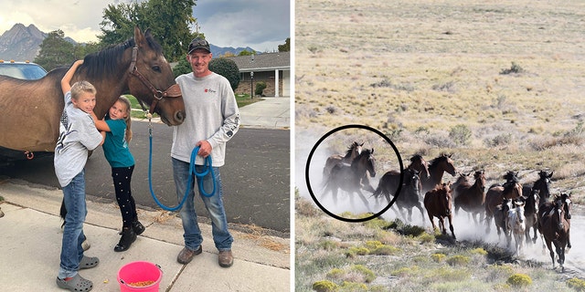 Shane Adams poses with his horse Mongo and his children, Owen and Anna (left). Mongo (circled on the right) is believed to have been running with wild mustangs during his years away from home.