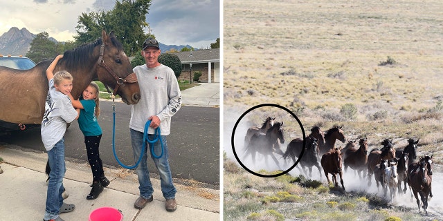 Shane Adams poses with his horse Mongo and his children, Owen and Anna (left). Mongo (circled on the right) is believed to have been running with wild mustangs during his years away from home.