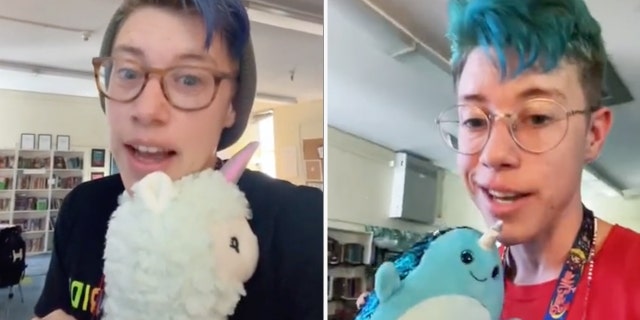 Teacher named Skye Tooley uses stuffed animals to teach children about pronouns and gender identities.