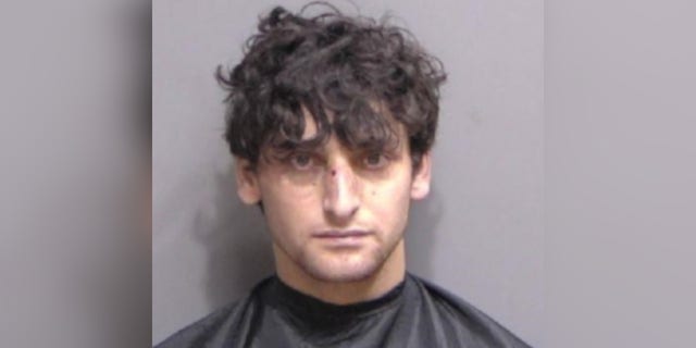 Luke Ingram, of Dunwoody, Georgia, was arrested for second degree murder, domestic violence battery by strangulation, resisting without violence, resisting with violence and aggravated battery on a law enforcement officer. He is currently being held on no bond.