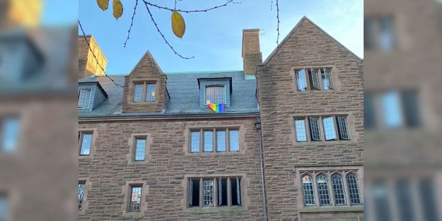 A school official at Trinity College physically removed the American flags from two students from outside their dormitory and allowed other flags, such as the LGBT and trans flags, to remain aloft.  