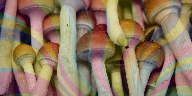 Colorado became the second state, after Oregon, to legalize psychedelic mushrooms. Could Rhode Island be the third?