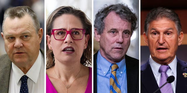 Sen.  Sherrod Brown, D-Ohio, is considered one of the most vulnerable Senators in 2024. From left to right: Sen.  Jon Tester, D-Mont., Sen.  Kyrsten Sinema, D-Ariz., Sen.  Sherrod Brown, D-Ohio, Sen.  Joe Manchin, DW.Va.