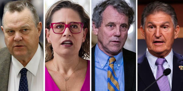 Brown is considered one of the most vulnerable Senators in 2024, along with Tester, Sinema, and Manchin. From left to right: Sen. Jon Tester, D-Mont., Sen. Kyrsten Sinema, D-Ariz., Sen. Sherrod Brown, D-Ohio, Sen. Joe Manchin, D-W.Va. 