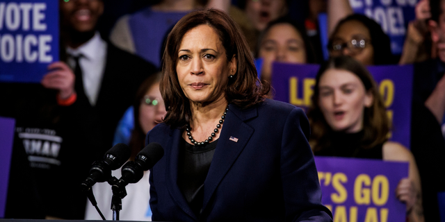 US Vice President Kamala Harris speaks during an event hosted by the Democratic National Party at the Howard Theatre on November 10, 2022 in Washington, DC. 