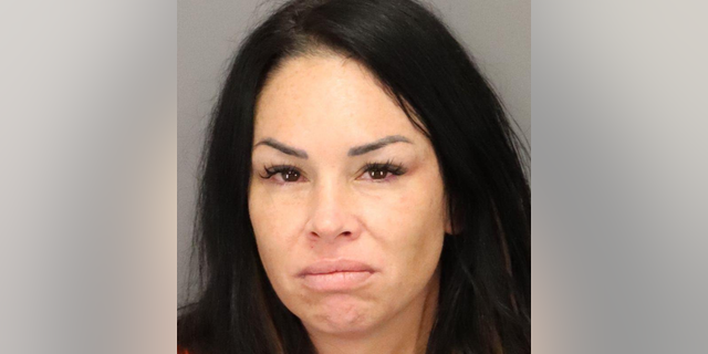 The St. Petersburg Police Department alleges that Ashlee Lauren Morgan, 38, was driving her 2019 Range Rover Velar while going 60 miles per hour Thursday as she approached 21st Avenue NE, which is near the Coffee Pot Turkey route. . Trot, according to FOX 13.