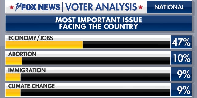What is the most important issue facing the country?
