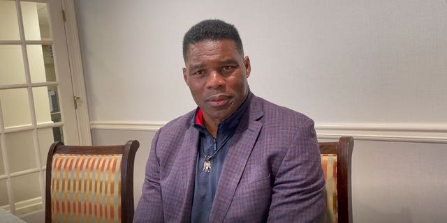 Republican Georgia Senate nominee Herschel Walker speaks with Fox News' Brandon Gillespie following a campaign event in McDonough, Georgia on Wednesday, November 16, 2022.