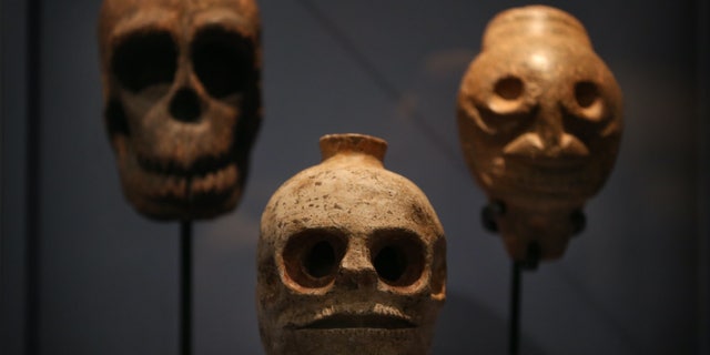 Skulls and skull-shaped vessels are displayed at the "Death: A Self-portrait" exhibition at the Wellcome Collection on Nov. 14, 2012, in London.